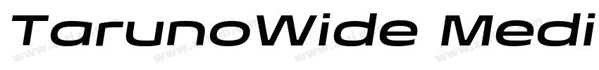 TarunoWide MediumIta字体转换